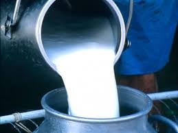 COVID-19 Lockdown: Dairy Farmers in Huge Crisis as Milk Prices Fall in ...