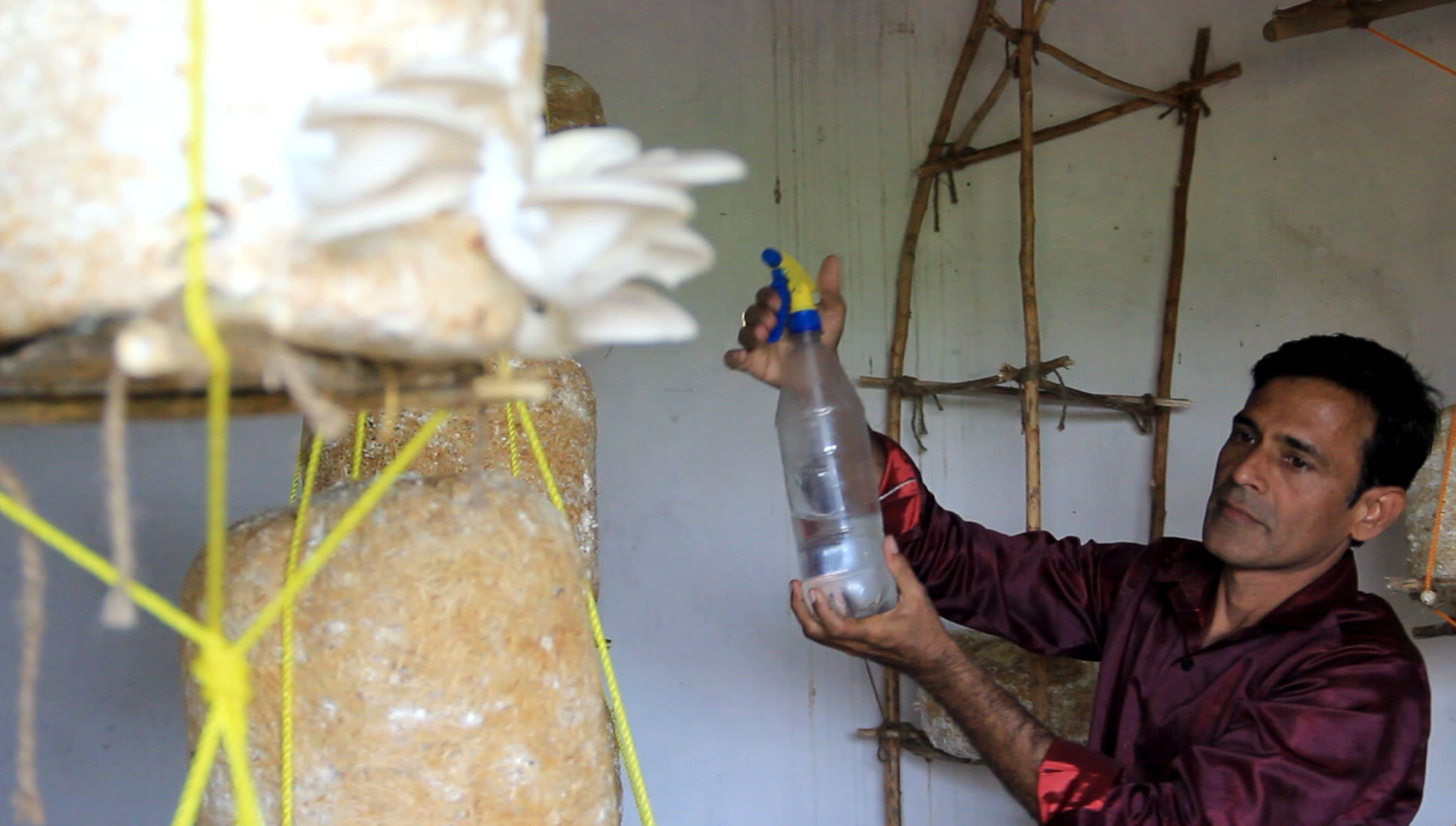 Ashok Manwani showing mushroom growth