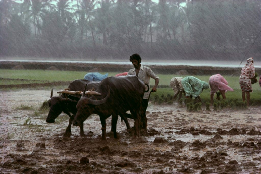भारत में मानसून की तेज बारिश का प्रतिनिधि दृश्य