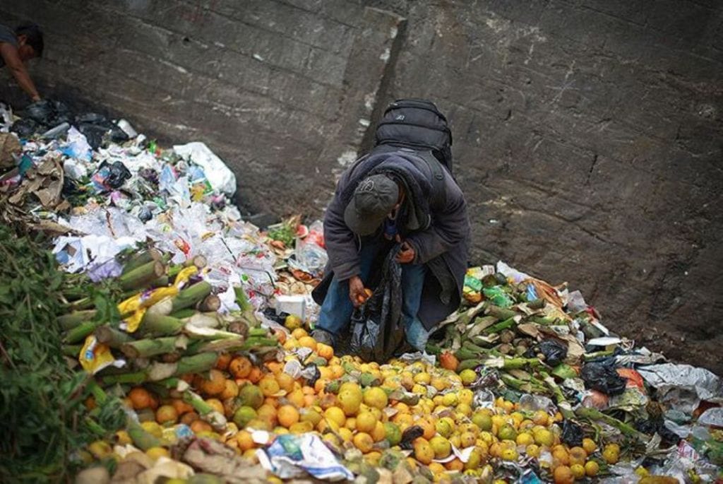 How much food is wasted in India?