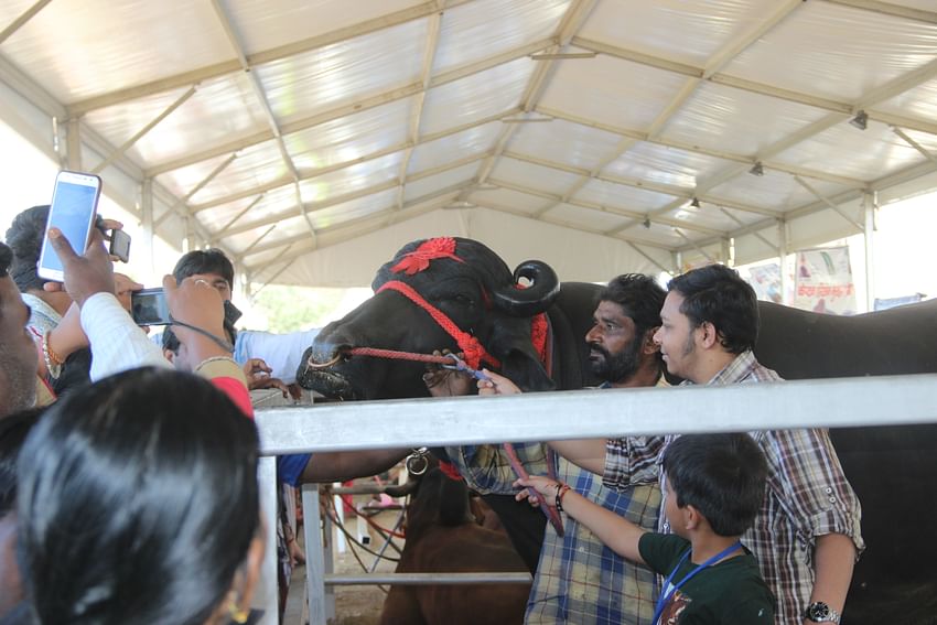 people taking selfies with Yuvraj