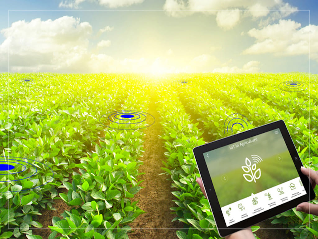 Very less Post-harvest IoT solutions available in the market: Nasscom