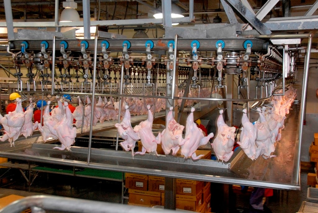 USDA Invests $55.2 million in Grants to Increase Capacity & Expand ...