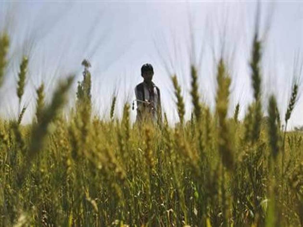 Farmers in Bihar will be Compensated for Crop Damaged due to Cyclone Yaas