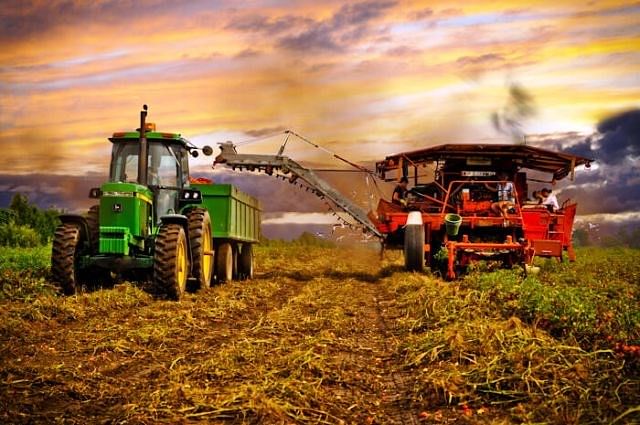 Post Harvest