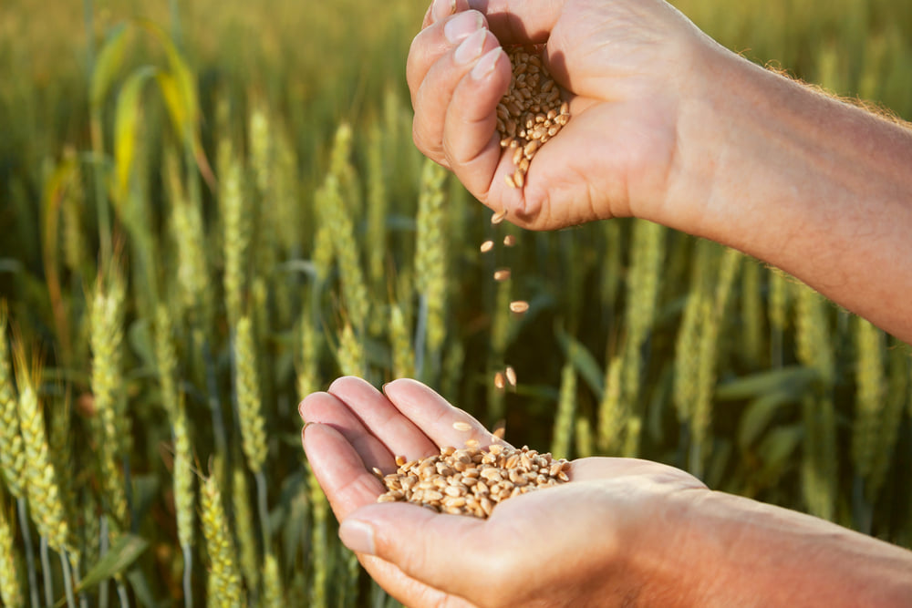 DeHaat Acquires Regional Farm-Input Startup Helicrofter to Empower Farmers