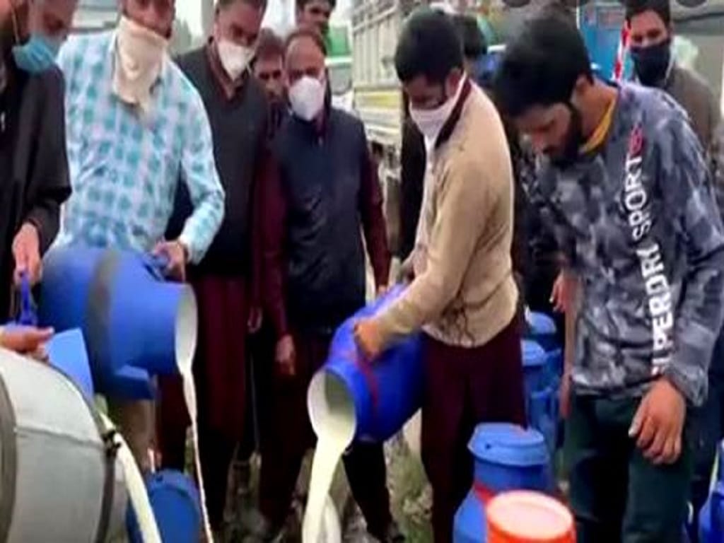 Dairy Farmers in Kashmir Dump Milk Into Drains as Demand Drops