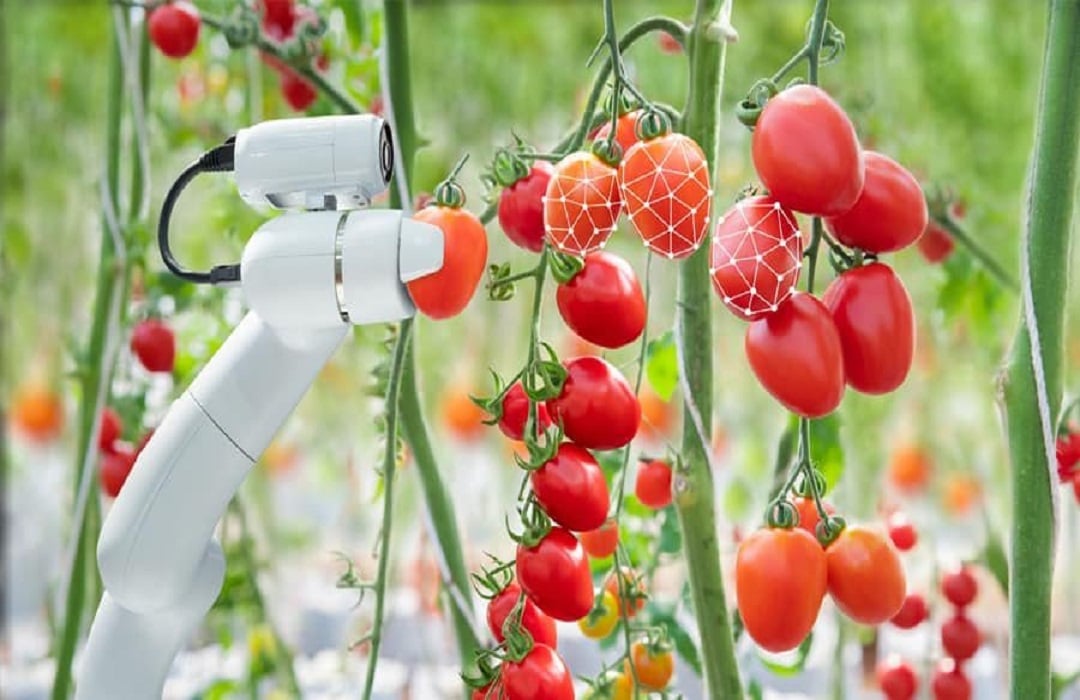Machine Learning & Artificial Intelligence May be Used to Improve the ...
