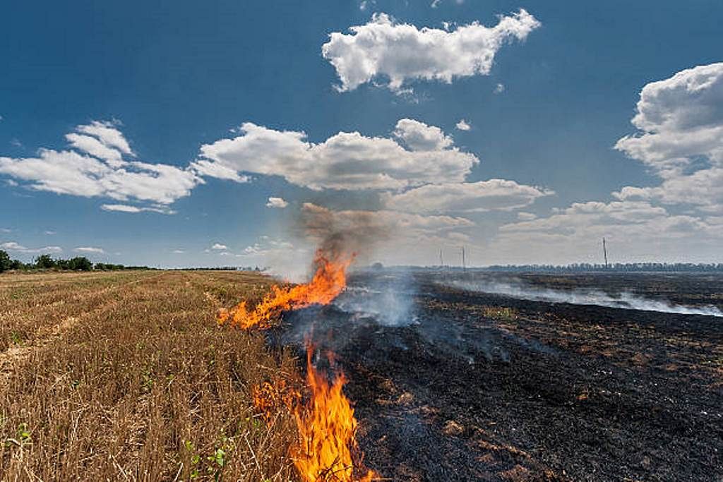 Stubble Burning in India: Causes, Effects & Measures 