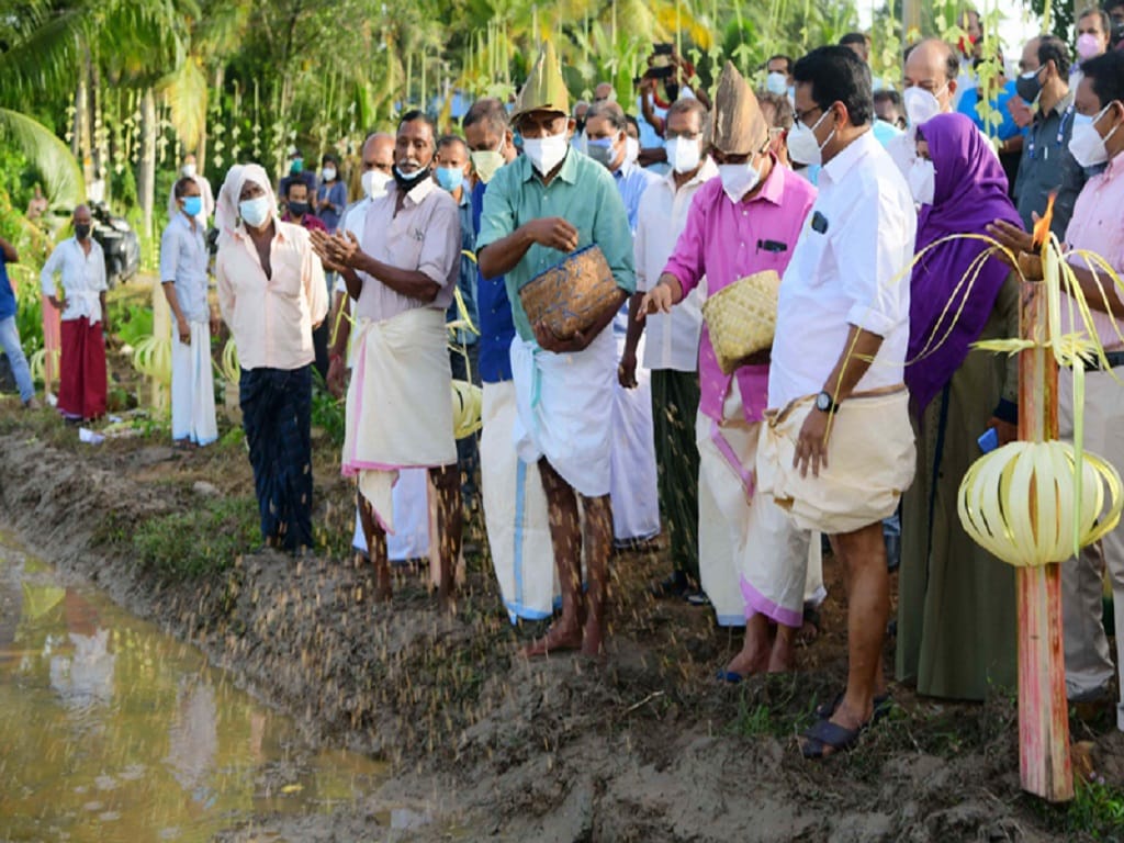 Kerala Agriculture Department to Set up Modern Mini Rice Mills