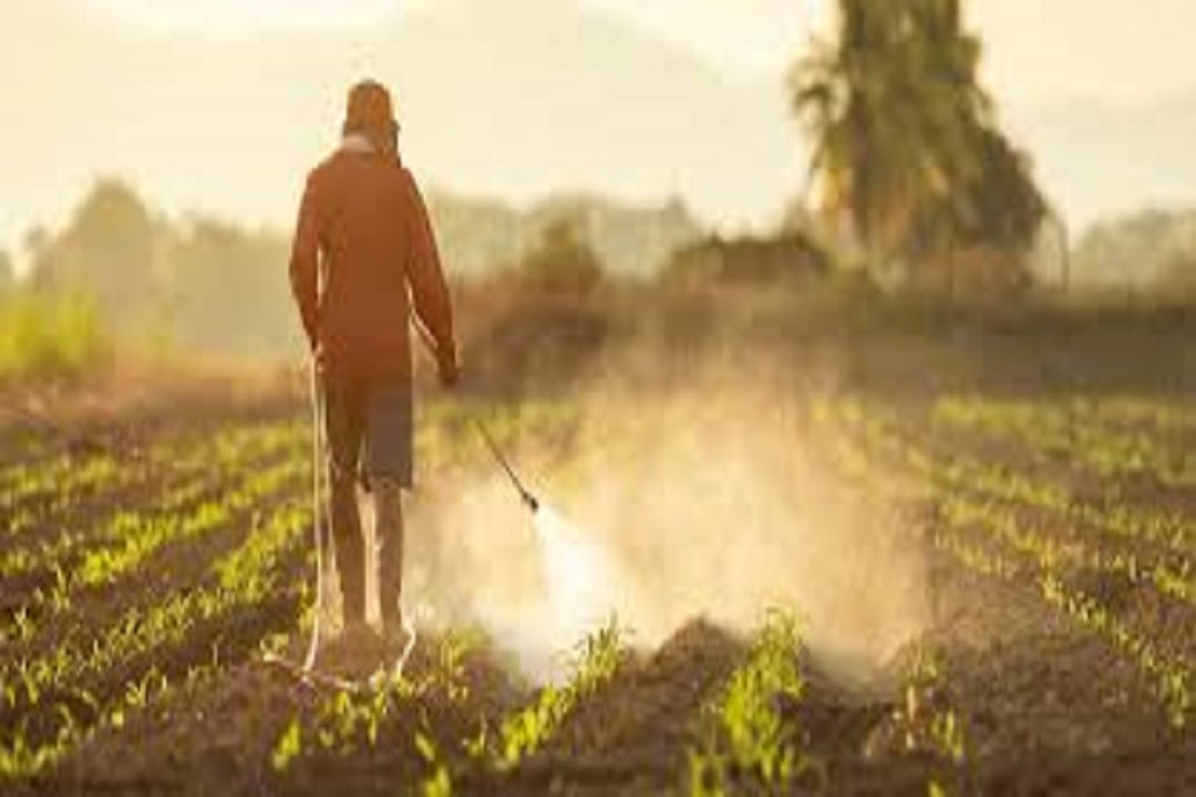 Following the Digital Dream: AgFarm, A Dubai Based Agrochemical Company ...