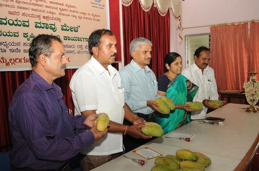 Mango and Millet Mela in Mysore