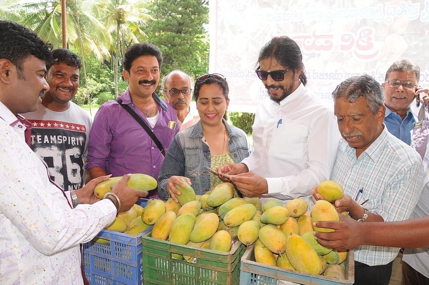 Mango and Millet Mela in Mysore