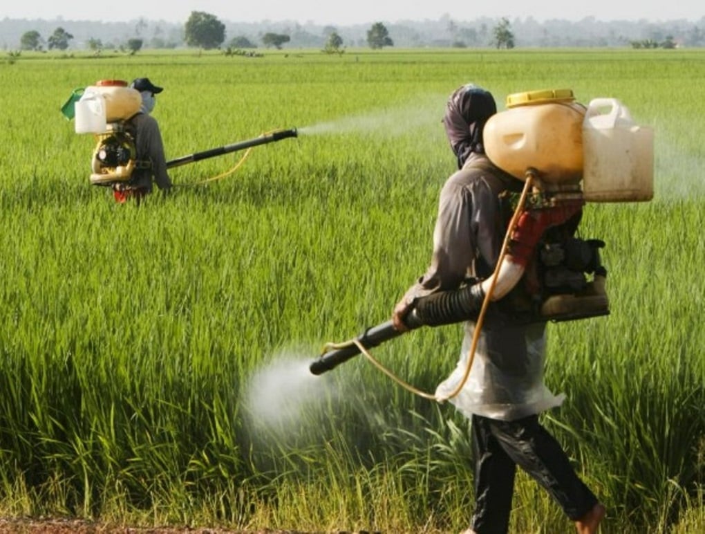 Budget 2023: Here's What Dhanuka, Sammunati, Yara South Asia, Syngenta ...