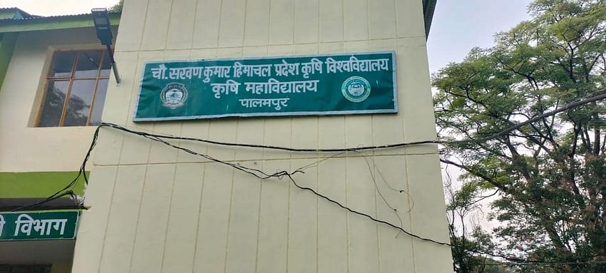 Agriculture University, Palampur, Himachal Pradesh for farm