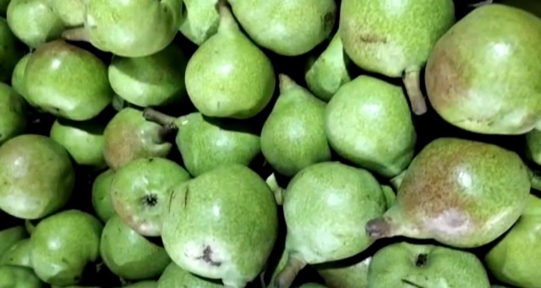 Sabzi Mandi Bandrol, Kullu, Himachal Pradesh