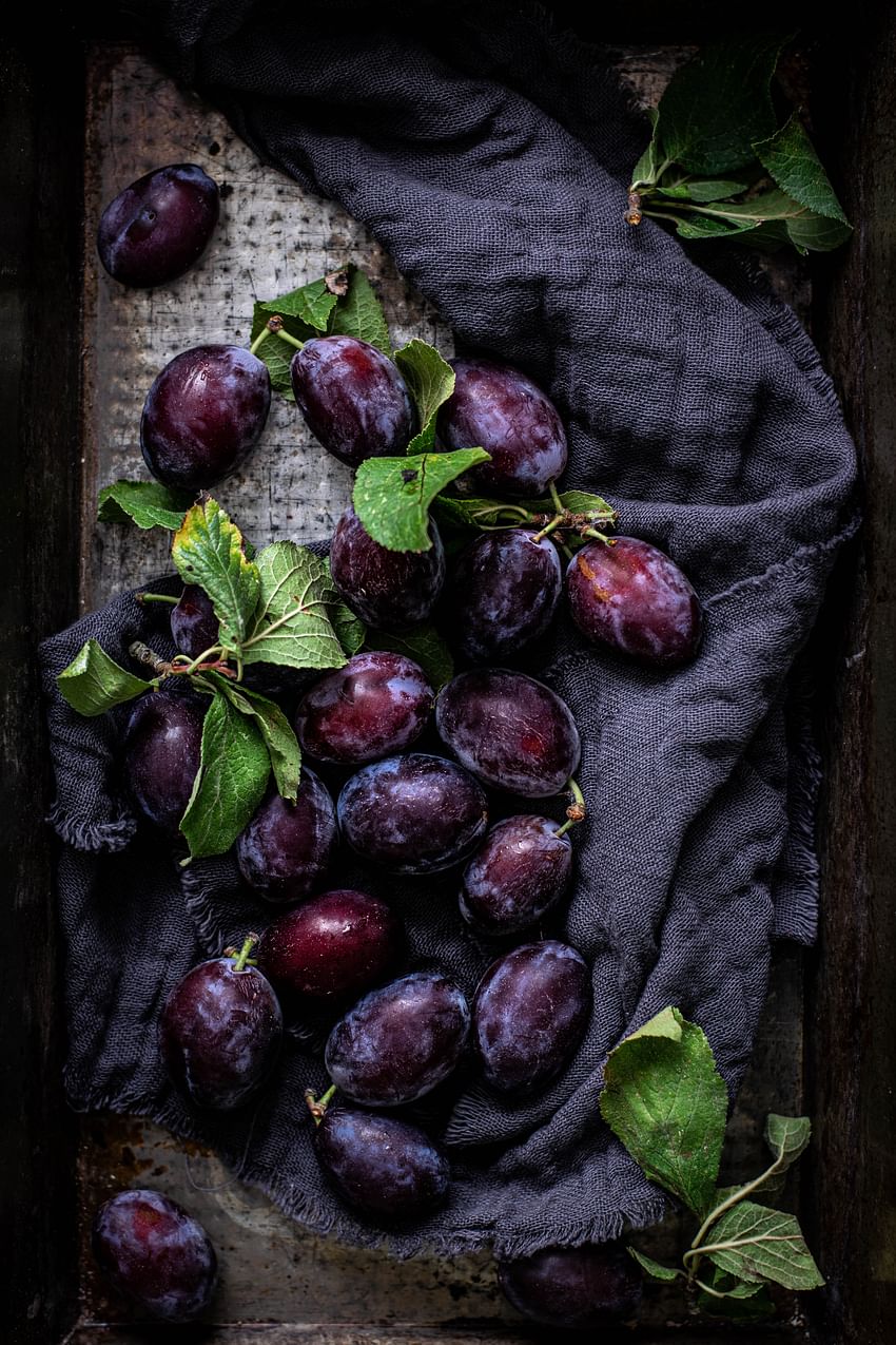 Plum Farm - The harvesting Season Starts from May 2nd Week