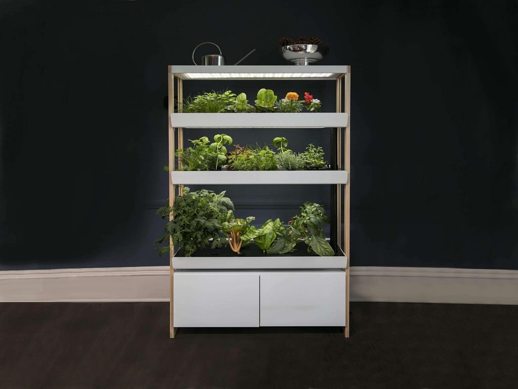 Step-by-Step Guide to Create Your Own Hydroponic Garden at Home