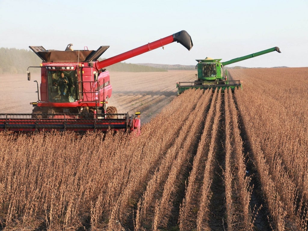 US Oilseeds Production Expected to Drop