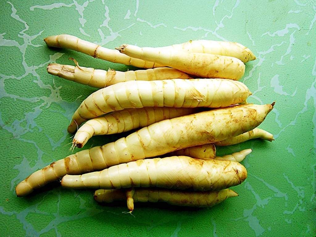 5 Health Benefits of Adding Arrowroot to your Diet