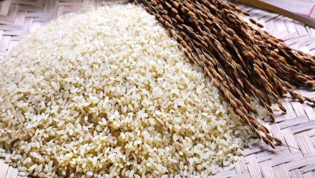Bodoc Rice Bengal’s Premium Aromatic Rice- ‘Gobindobhog’ Experiences 11% Decline