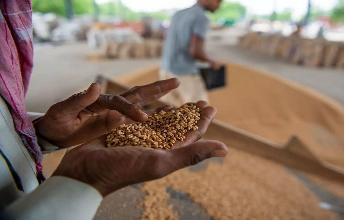 Govt to Provide Free Ration to 81 Crore People For 1 Year Under NFSA Govt to Provide Free Ration to 81 Crore People For 1 Year Under NFSA
