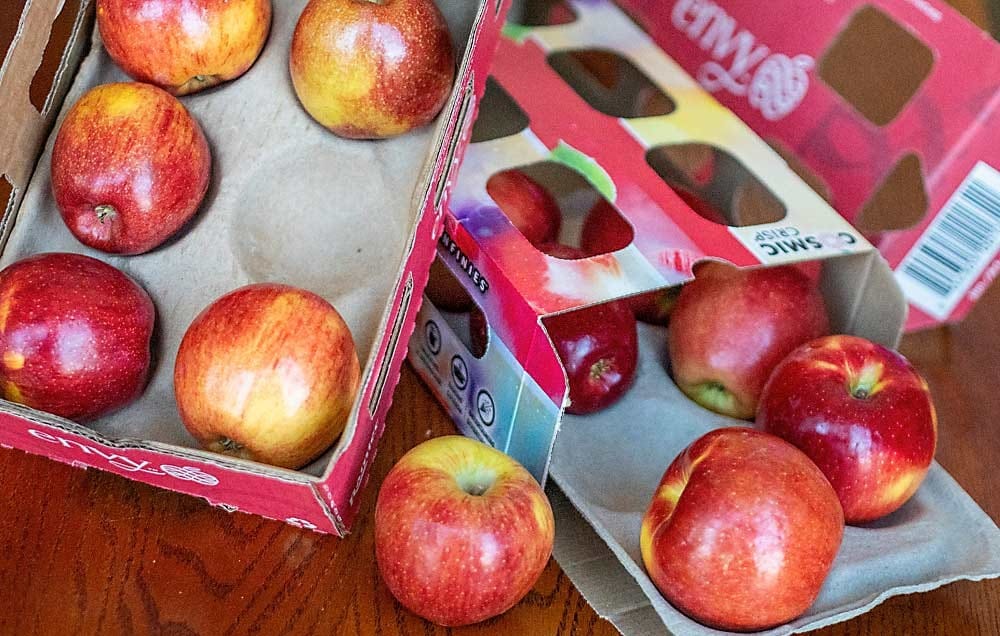 HP Govt to Finalize & Launch Universal Packaging Material for Apple Soon