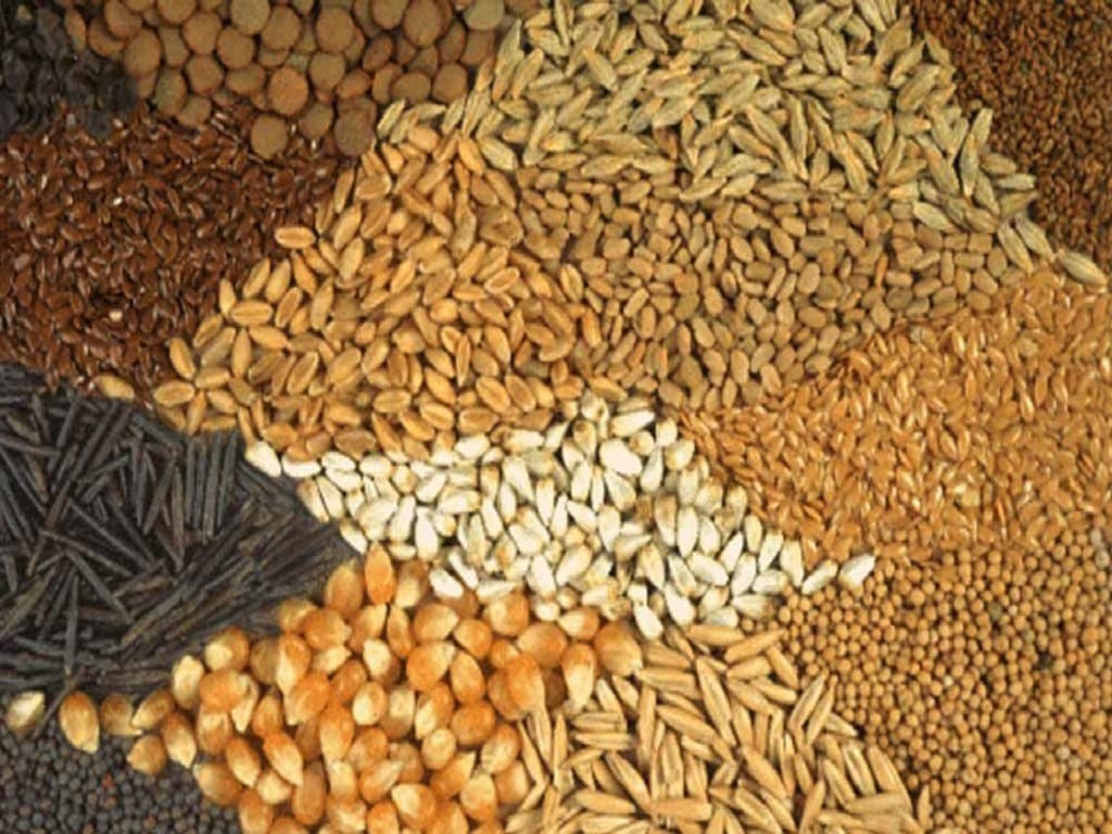 Government Expects Record Foodgrain Production of 3235.54 Lakh Tonnes ...