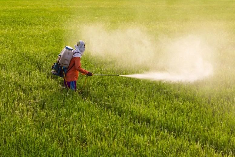 How are Fertilizers and Pesticides Different from Each Other