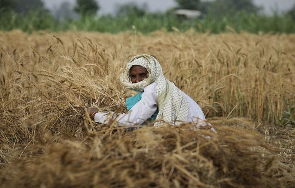 Breaking The Stigma: Addressing Mental Health Challenges in Farming ...