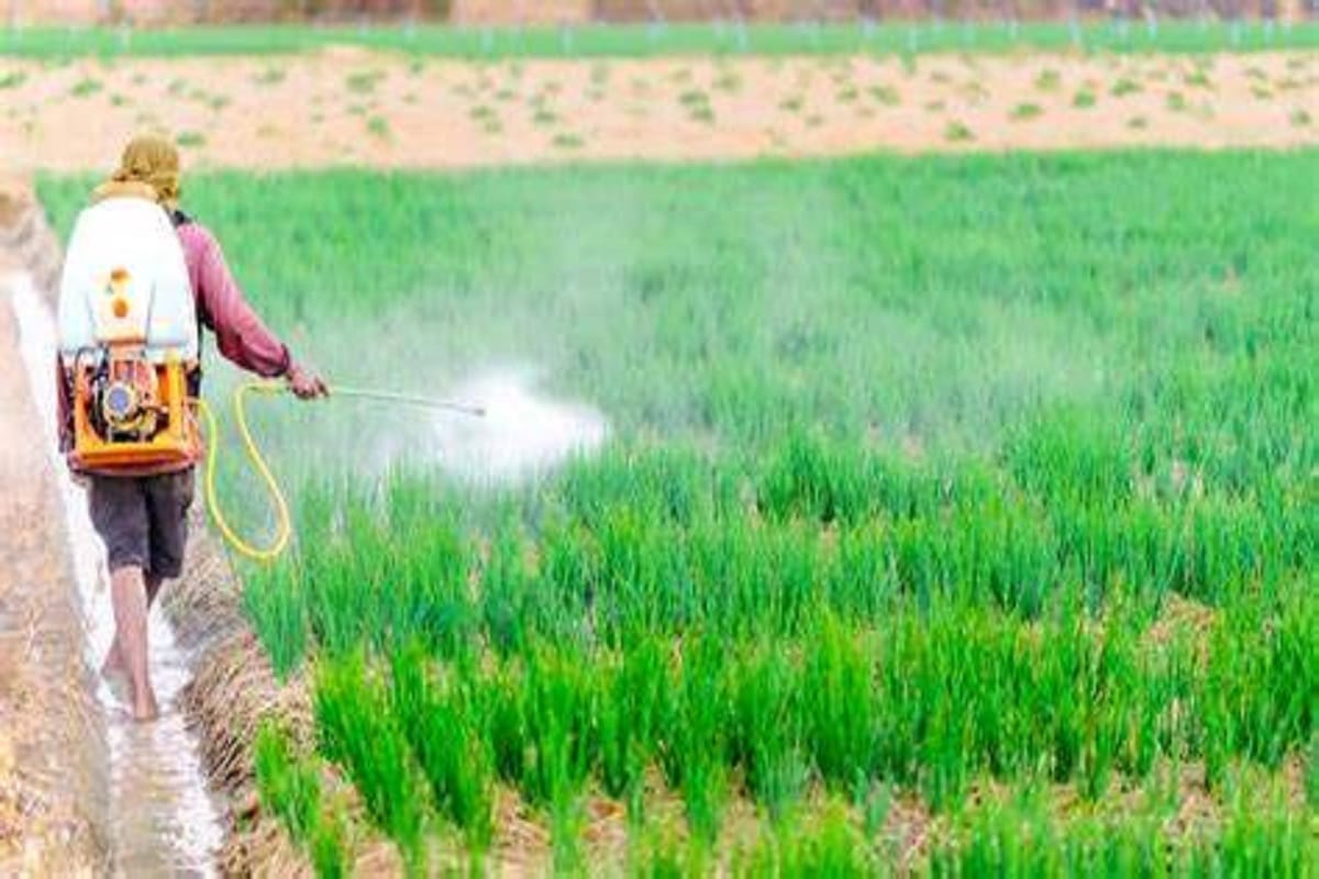 Farmers Demand Justice: Legal Notice Sent to Company Over Poor-Quality ...
