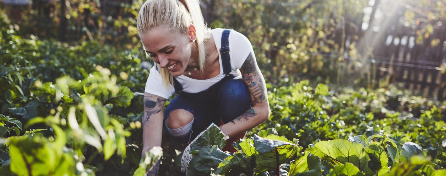 Gardening for Mindfulness: How to Use Your Garden to Practice ...