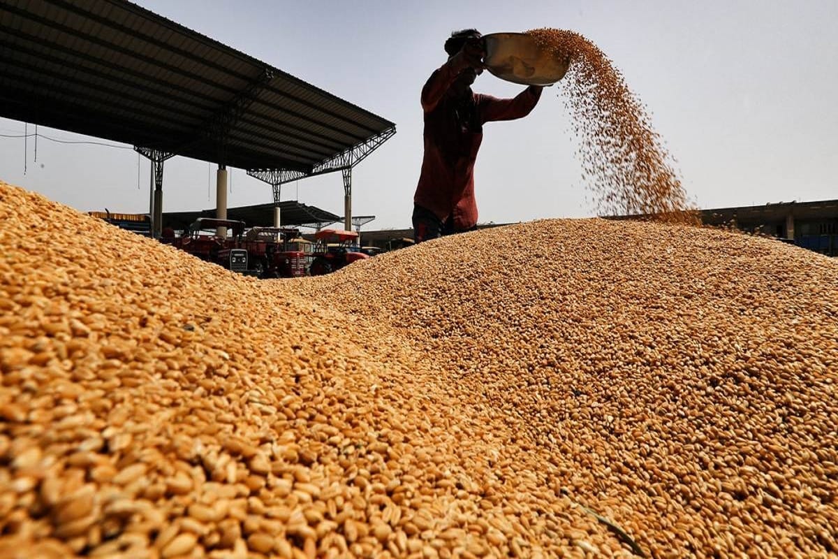 Bihar to Commence Wheat Procurement from April 20 with a Target to Lift ...