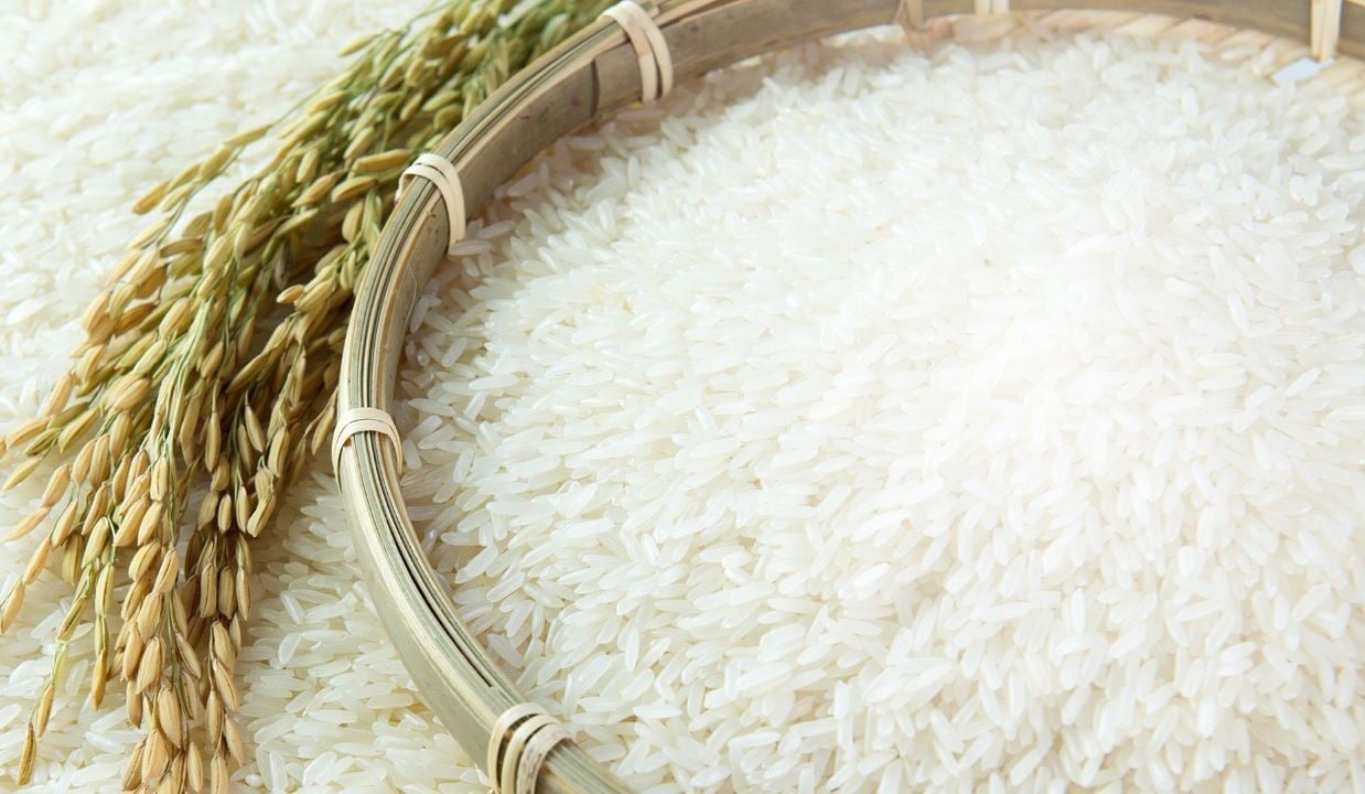 Soar Rice Indian Rice Prices Soar as Asian Countries Brace-up to Tackle El Nino