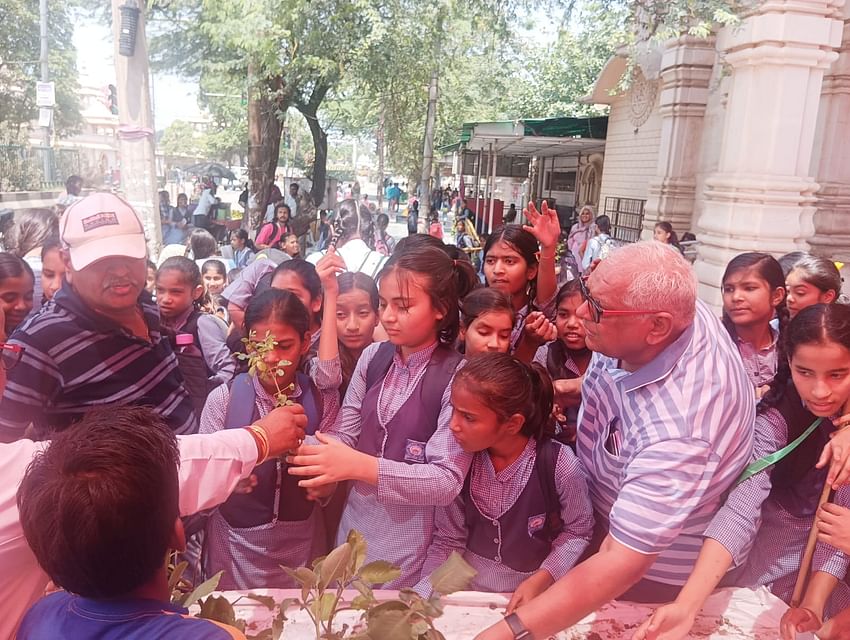 Harit Sewa Mission’s ‘Plant Distribution’ Drive on World Environment Day