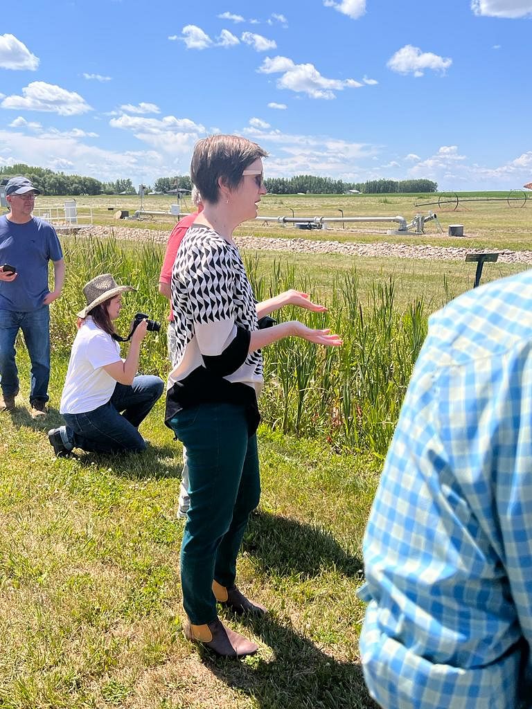 IFAJ BOOT CAMP: All About Agriculture & Farm Visits in Alberta, Canada