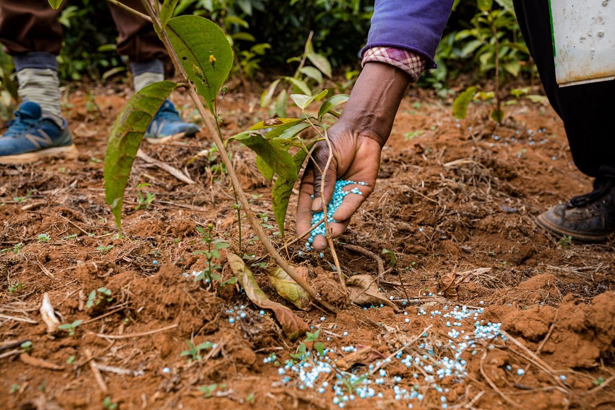 Manipur Govt Allocates Rs 25 Crore To Agriculture Department For Fertilizer Procurement 6256