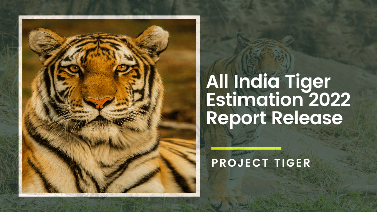 Project Tiger: A 50-Year Journey Towards Protecting India's Tigers and ...