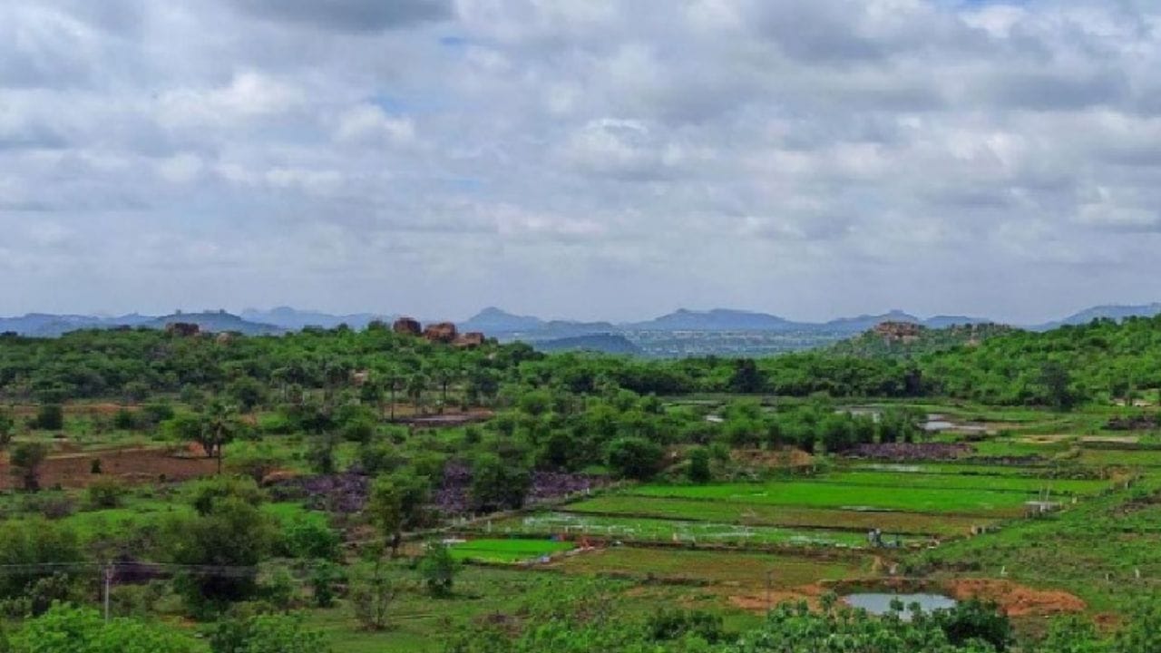 Farms Embracing Permaculture Practices For Promoting Sustainable ...