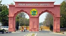 PAU Invites Applications for JRF Post in Food Science & Technology with Fellowship Up to Rs 37,000/Month